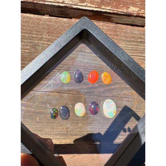 11 carats of Opals in Display Case - Picture 2 of 7